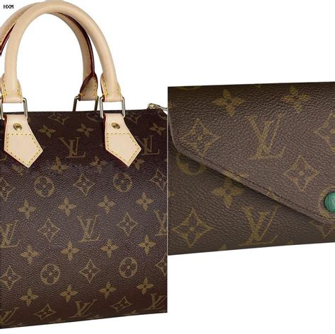 louis vuitton honden tas|louis vuitton ladies bag.